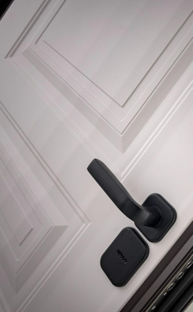 БРЕСТ ДВУХСТВОРЧАТАЯ (ТЕРМОРАЗРЫВ) 